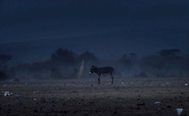 The Well_Ethiopia Asino