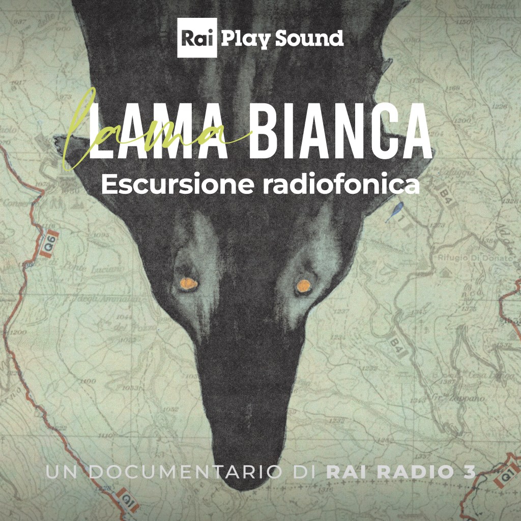 Lama Bianca