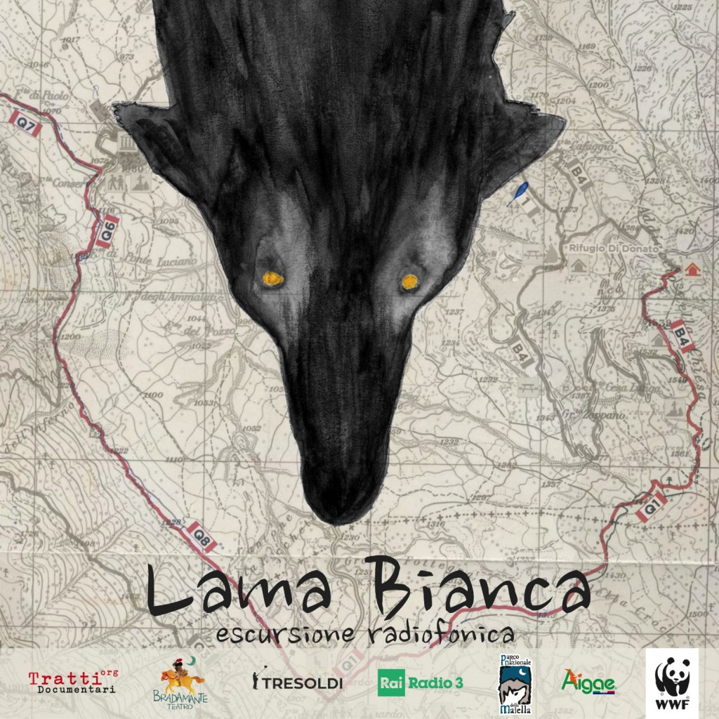 Lama Bianca